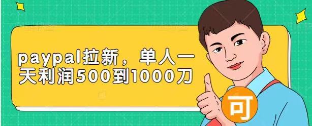 Paypal拉新赚美刀项目，单人一天利润500-1000刀【视频课程】插图