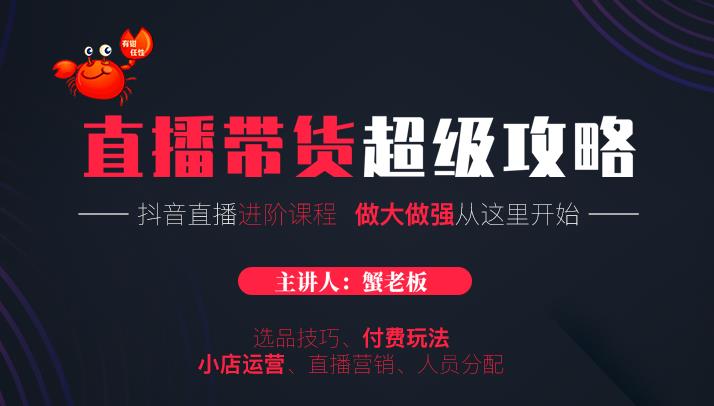 抖音直播带货超级攻略：抖音直播带货的详细玩法，小店运营、付费投放等插图