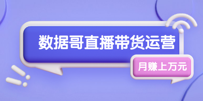 数据哥直播带货运营线上进阶课，让普通人也能靠直播月赚上万元|普通人的副业插图