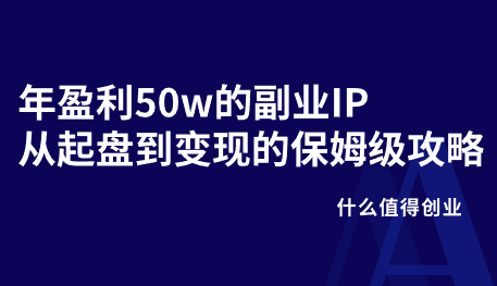 年盈利50w的副业IP从起盘到变现的保姆级攻略插图