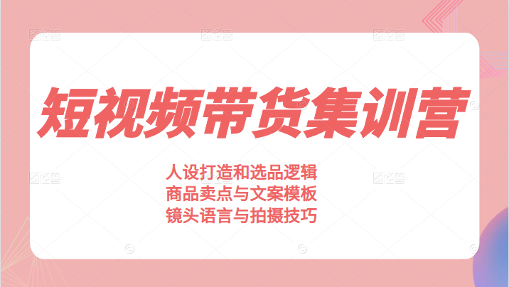 素人短视频带货集训营，人设打造和选品逻辑，商品卖点与文案模板|短视频创业插图