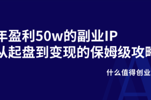 年盈利50w的副业IP从起盘到变现的保姆级攻略