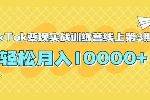 龟课TikTok变现实战训练营线上第3期，轻松月入10000+|靠谱的副业