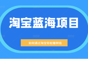 某公众号付费文章：淘宝蓝海项目：月入5000+ 一单利润200一天赚1000+等玩法分享