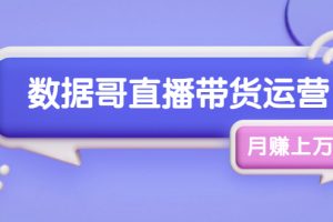 数据哥直播带货运营线上进阶课，让普通人也能靠直播月赚上万元|普通人的副业