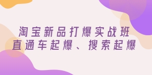 淘宝新品打爆实战班，直通车起爆、搜索起爆