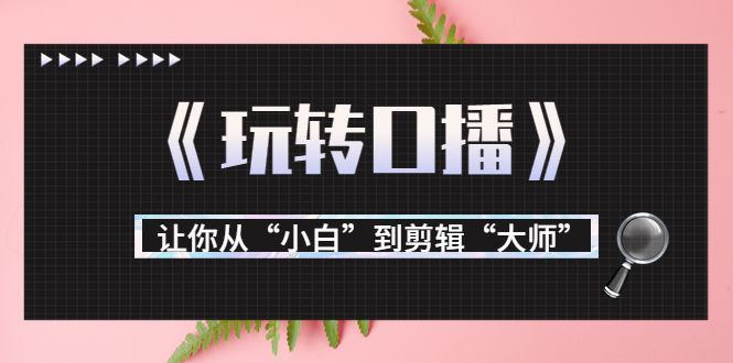 月营业额700万+大佬教您《玩转口播》让你从“小白”到剪辑“大师