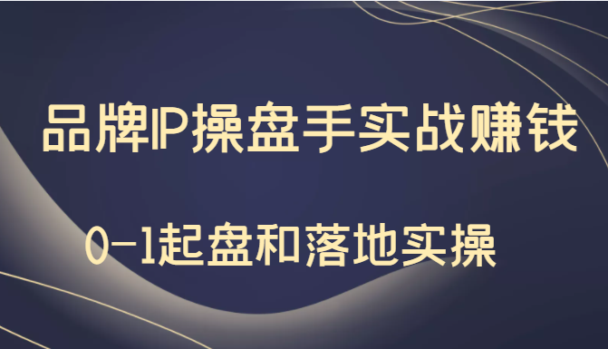 秒懂代运营：品牌IP操盘手实战赚钱，0-1起盘和落地实操（价值199元）