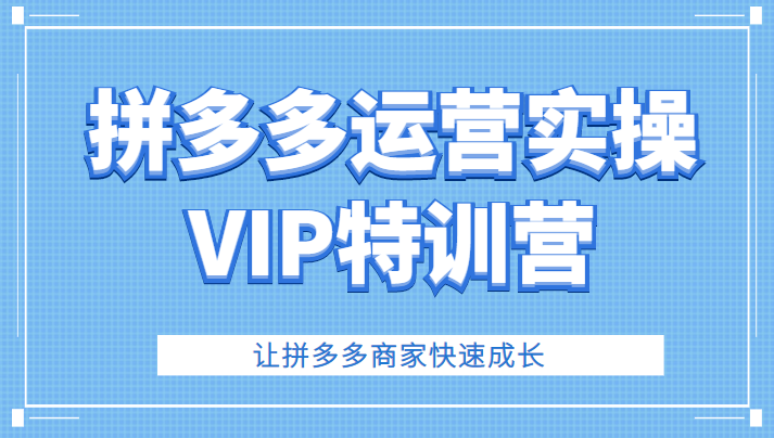 拼多多运营实操VIP特训营，让拼多多商家快速成长（价值3180元）