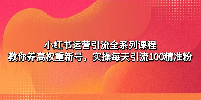 小红书运营引流全系列课程：教你养高权重新号，实操每天引流100精准粉