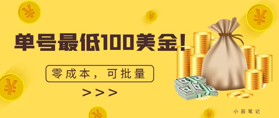 单号最低100美金，零成本，小白无脑操作。可复制，可扩大